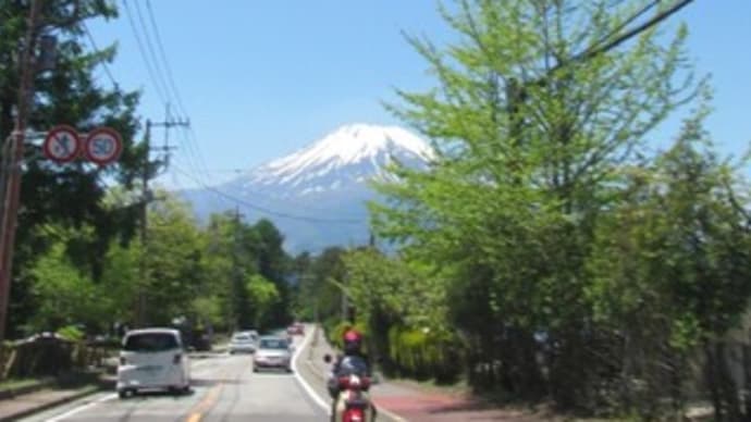 やらかし…倒れ?し??ました(T_T)