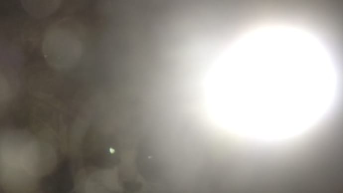 < 闇夜に浮かぶ ヤサグレ猫が。可笑しな顔だ。。。> パンダがいるのかな。。。。