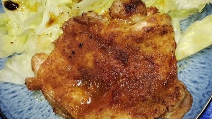 【05/15晩御飯】タンドリー生命鶏、そしてこれから出掛けるんだね:D