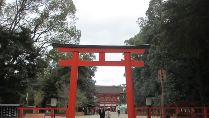 巳年のおみくじ