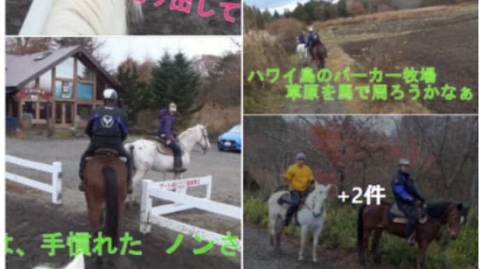 富士山麓鳴沢村で乗馬体験 西湖いやしの里 根場の蕎麦 🐎