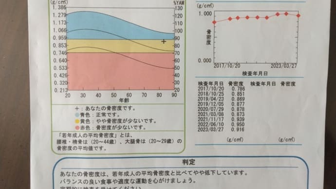 酷暑の夏の外出はお医者通いに明けくれて。