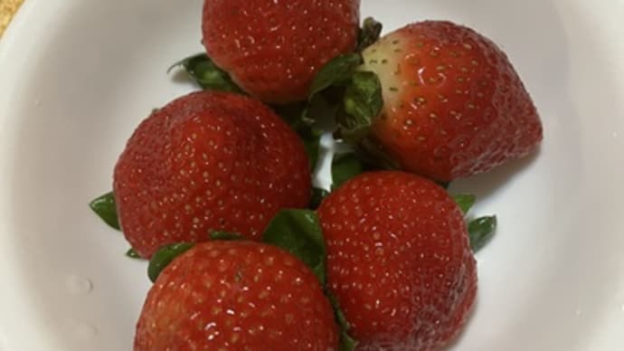 やはり、だめだった・・・