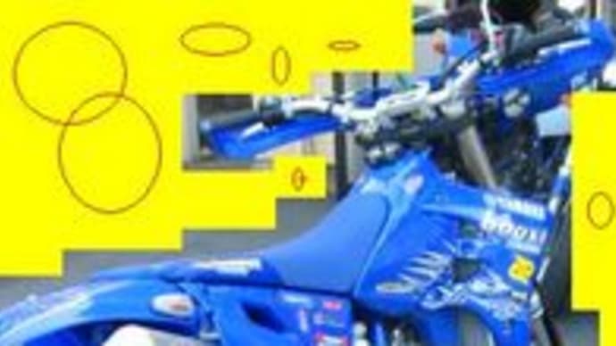 不調。。。。。('・c_・` )