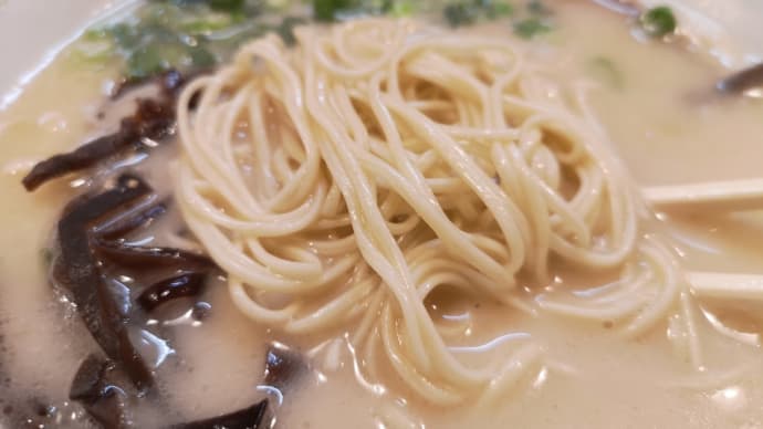 都内で食らう博多ラーメン　まるきん木場店