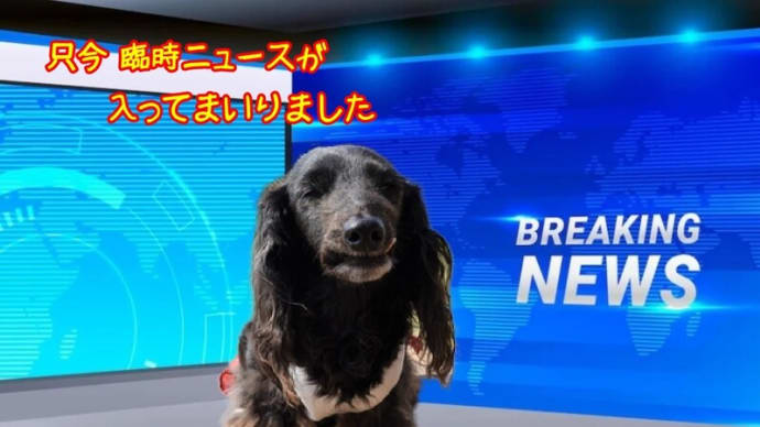 皆さん ニュースです