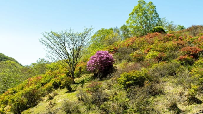 皐月の小満　赤城山の見晴山に登る