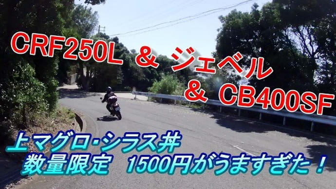 CRF250L ＆ ジェベル ＆ CB400SF　　　上マグロ・シラス丼　数量限定　1500円がうますぎた！
