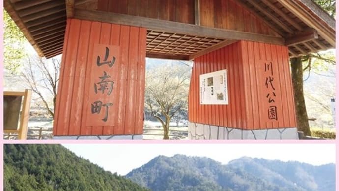 🌸の下で⛺ 試し張り