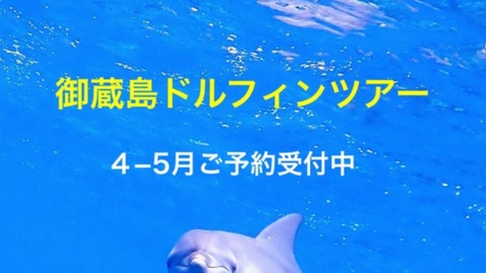御蔵島ドルフィンツアー 5月分受付START