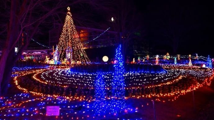 県立フラワーセンター「花と光のクリスマス」 '23