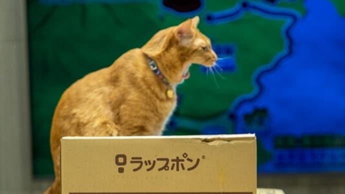 ラップポン