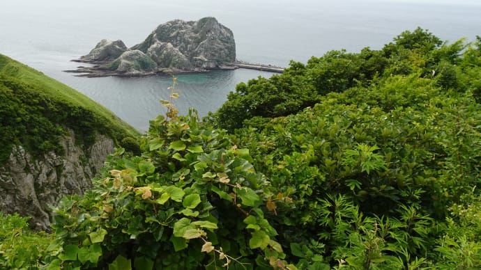 武井ノ島・周辺散策②