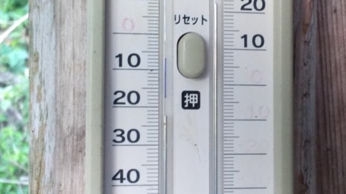 令和6年8月1日 今朝の東祖谷20.0℃