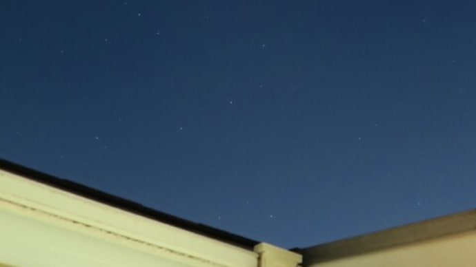 都内の星座(8)