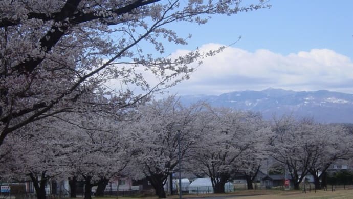 「軽井沢周辺」西軽井沢・医療センター・桜のトンネル~写真と短歌で綴る世界文化紀行