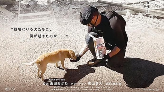 「犬と戦争 ウクライナで私が見たこと」