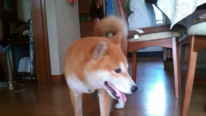 お盆休みは『盆仕事』