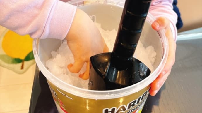 雪が降りました!