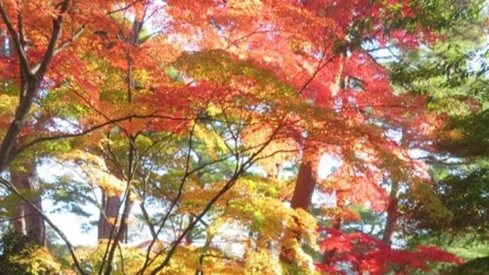 洞川湖のビューポイントへ♪