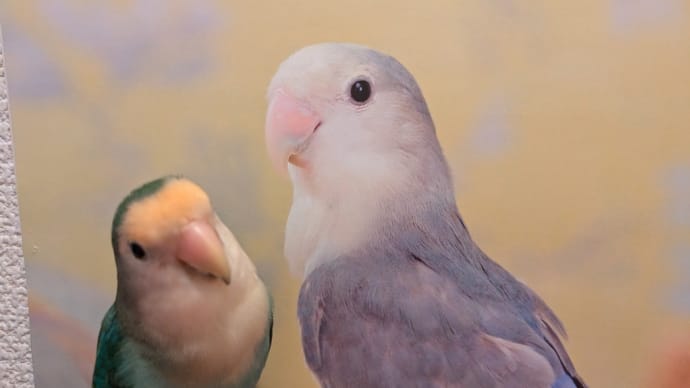 失敗は成功のモト?😅💦