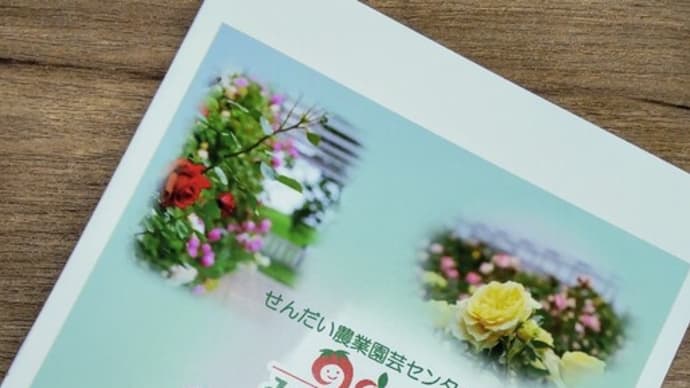 イチゴ🍓とトマト🍅