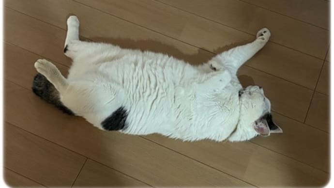 蒸し暑い土曜日~雅瑠さんも暑い