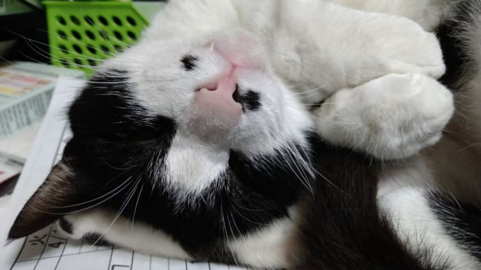 慎重に衣替え