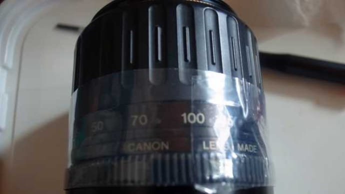 ジャンクレンズ「キヤノンEF35-135mmF4-5.6」カビ取→試写