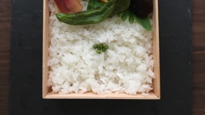 夏のお弁当 5