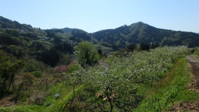 【歩く】戸隠古道 その3
