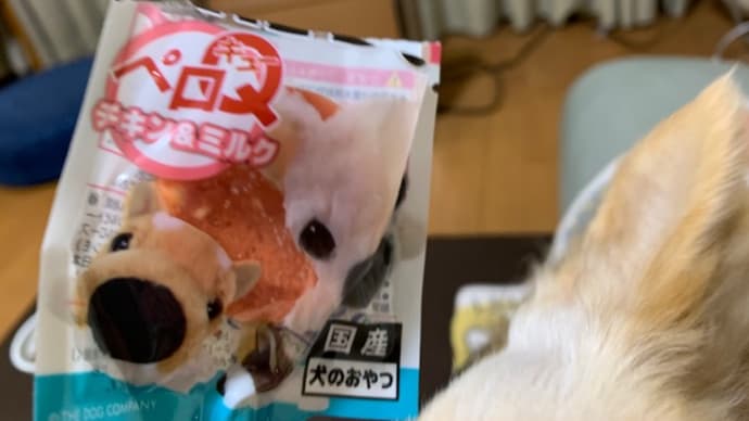 気を取り直してがんばろう(*´▽`*)