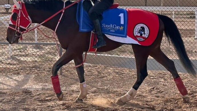【バスラットレオン】坂井瑠星騎手の雰囲気がイイ感じ(^^)