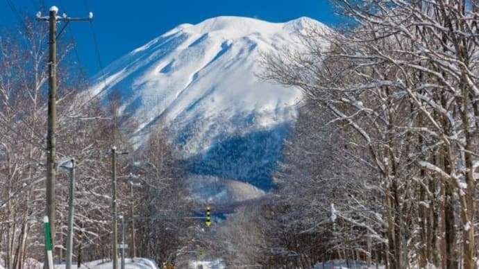 中国系人物が北海道・羊蹄山麓で違法な森林伐採 北海道が工事中止勧告