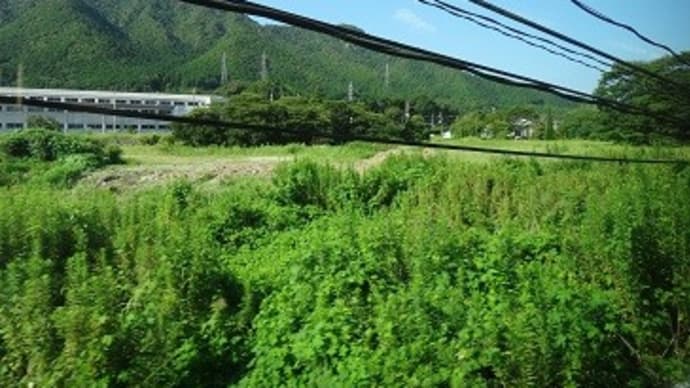 高齢者還暦切符舞鶴編2
