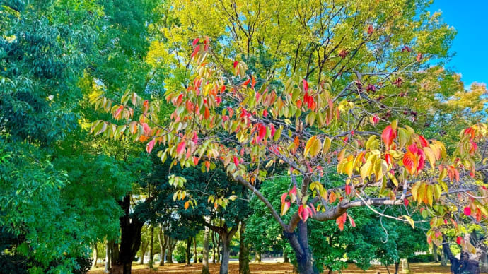 大仙公園までサイクリング🎵