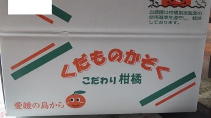 お買い物といただきもの