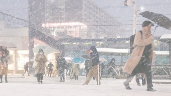 雪の日の飲み会
