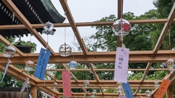 生根神社 奥の天使♫