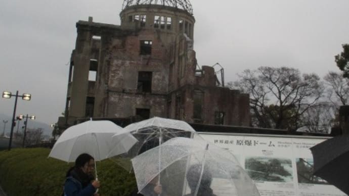 広島市は雨・・・久々の雨で樹々が喜んでいます 戦後80年、戦争がない民主主義国家、自由主義国の日本に生まれて本当に幸せ!