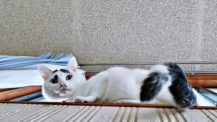 反省