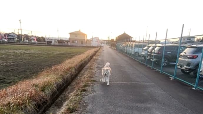 前を向いて歩いて行こう✨