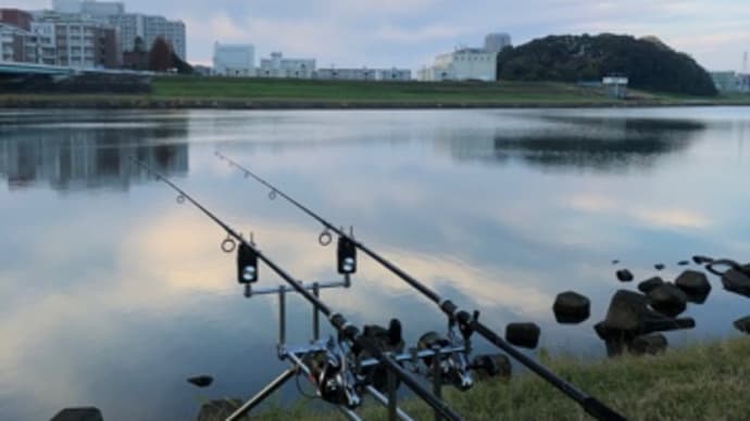 12月6日の鯉釣り