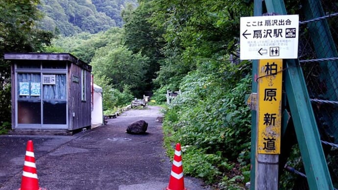 夏の北アルプス鹿島槍ヶ岳を巡って1話雷鳥と遭遇