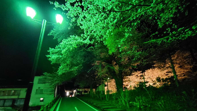 湯野上温泉駅の桜