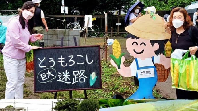 巨大とうもろこし迷路、初体験!できなかった