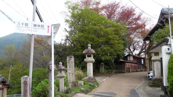 京都大原三千院散歩(1)~門を入るまで
