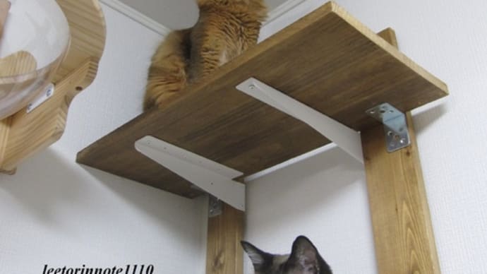 猫日記と主のつぶやき お邪魔