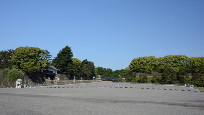 朝の皇居一周/日本の道百選(内堀通り)・・雨露の つつじ