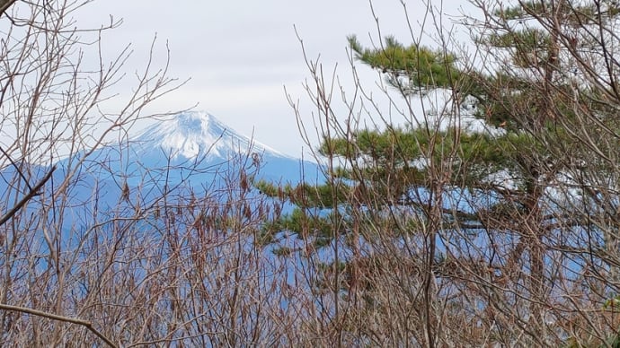 登山ガイドと行く富士見ハイク 生藤山 1